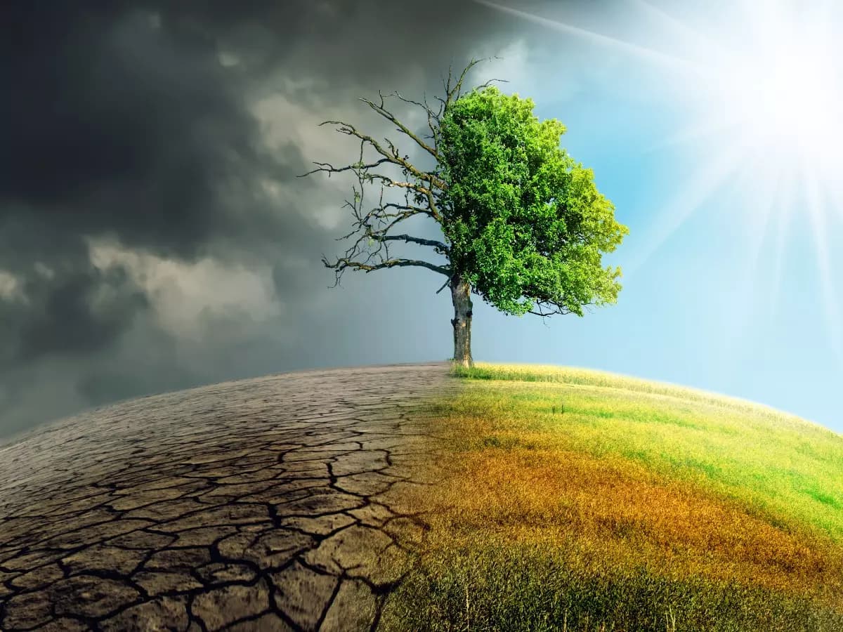 Resilient by design. Ready for a changing climate.